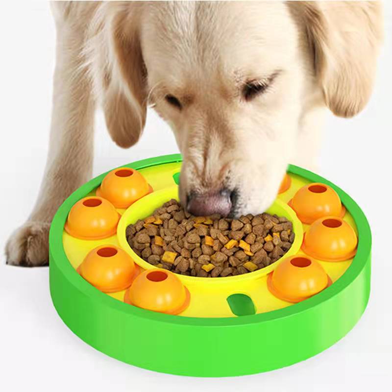 Dog eating from a green puzzle slow feeder