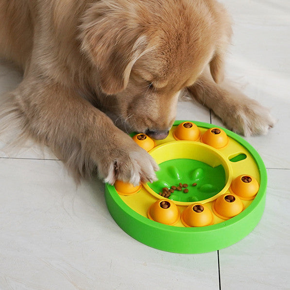 Dog playing with a rotating puzzle feeder