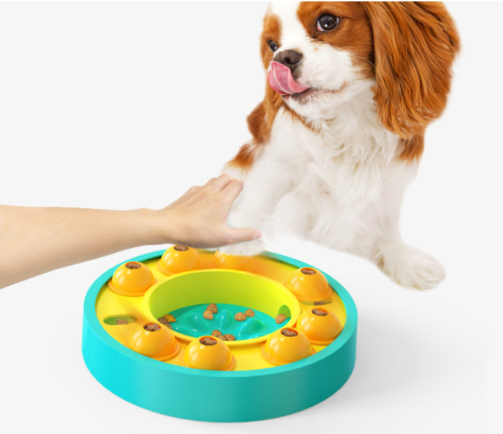 Blue interactive puzzle feeder used for training