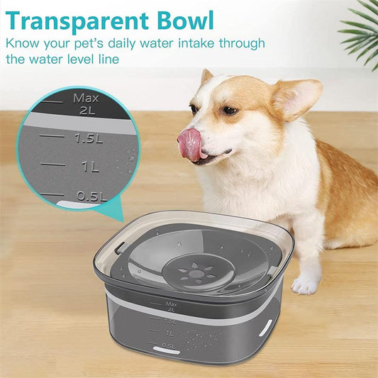 Transparent 2L spill-proof water bowl with dog