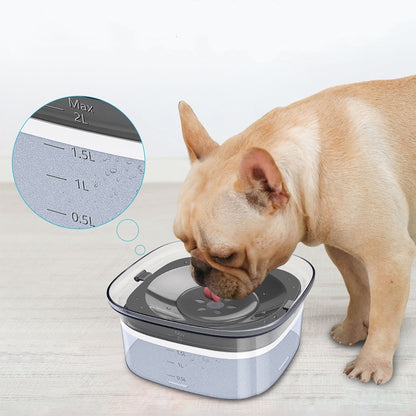 Dog drinking from a slow-drinking water bowl